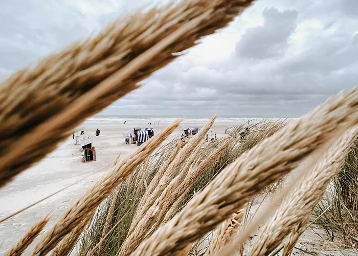 Nordstrandperle Ap O6 * Norderney